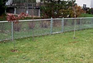 Garden with chain link galvanized fence 