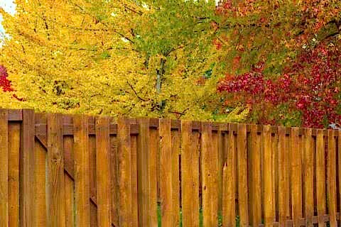 wooden fence