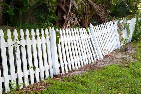 white fence