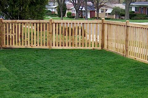 lawn with wood fence