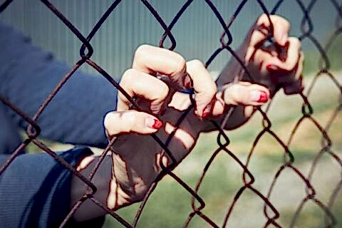 hands on fence