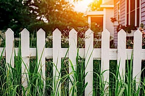 Fence in Spring