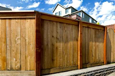 Backyard new wood fence